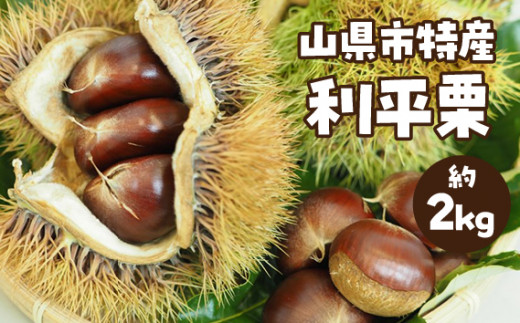山県市特産 利平栗 約2kg [No.348] ／ くり 大粒 特産品 岐阜県 - 岐阜