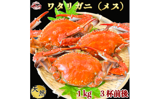 カニ 1kg (約3杯前後) 冷凍 ボイル済み 調理済み 国産 愛知県 南知多町 ワタリガニ カニ 蟹 カニ爪 蟹爪メス 贈答 プレゼント -  愛知県南知多町｜ふるさとチョイス - ふるさと納税サイト