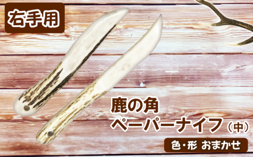 ＜色、形、大きさおまかせ＞鹿の角 ペーパーナイフ （中）右手用【竜鹿】 / 本物 加工 文房具 鹿 - 岩手県滝沢市｜ふるさとチョイス -  ふるさと納税サイト