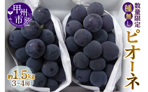 山梨勝沼　種無しピオーネ3kg　4~6房贈答用としても　ぶどうの丘西斜面がこの価格