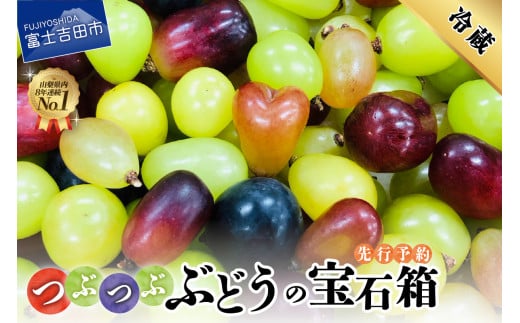 期間限定 つぶつぶ ぶどうの 宝石箱 フルーツ 山梨県産 シャインマスカット 黒ぶどう ピオーネ 果物 先行予約 2024年 旬 山梨県 山梨 果実  巨峰 マイハート 山梨 富士吉田 - 山梨県富士吉田市｜ふるさとチョイス - ふるさと納税サイト