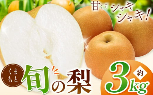 くまもと 旬の 梨 約 3kg | 果物 フルーツ なし 豊水 凛夏 秋麗 秋月 あきづき 新高 甘太 熊本県 和水町 なごみまち - 熊本県和水町｜ ふるさとチョイス - ふるさと納税サイト