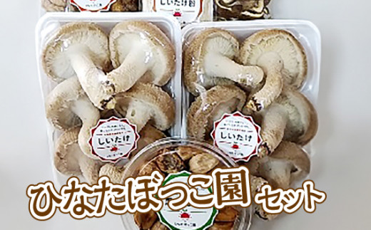ひなたぼっこ園セット [No.383] ／ 椎茸 シイタケ にんにく 岐阜