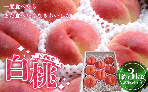 2025年度8月中旬発送開始》山形県産 厳選白桃 秀品 約3kg（8玉