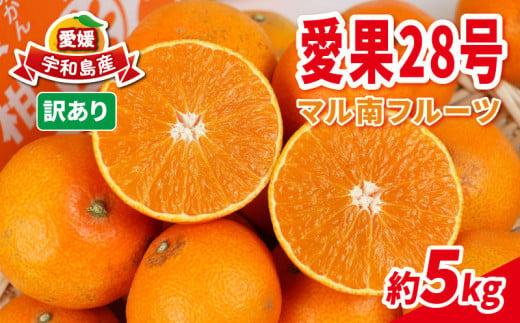 みかん 訳あり 愛果28号 5kg マル南フルーツ 不揃い 先行予約 柑橘 みかん 愛媛みかん 愛媛ミカン 愛媛蜜柑 愛媛産 果物 くだもの わけあり  フルーツ 高級 品種 ゼリー プルプル 甘い 産地直送 農家直送 数量限定 国産 愛媛 限定 品種 宇和島 B012-106027 -