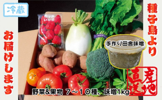 yV\szq I{   ʕ  cɖX Zbg@NFN564 y400ptz // {  ݂ X 100 Y哤  Yn ①