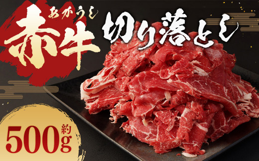 yF{szԋ ؂藎Ƃ 500g