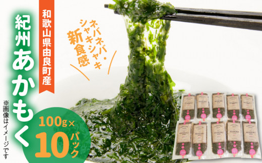 ya̎R󒬁zIBiRǒYj100g×10pbNi2025NYj_BB6200