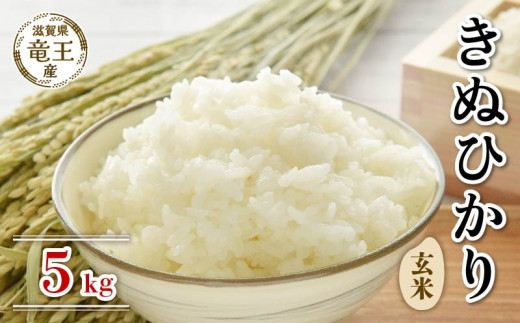 2024年産】淡路島産キヌヒカリ無農薬米10kg【白米or玄米】