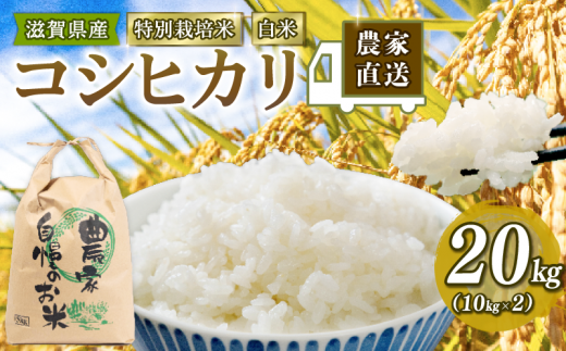 新米予約 特別栽培米 こしひかり 令和6年 米 20kg 白米 コシヒカリ 2024年産 国産 農家直送 環境こだわり 5分つき 玄米 にも対応  お試し用 小分け お米 こめ おこめ 新米 先行予約 農家直送 産地直送 滋賀県 竜王町 - 滋賀県竜王町｜ふるさとチョイス - ふるさと納税サイト