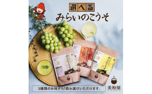 みらいのこうそ 1袋 選べる タマチャンショップ 美粉屋 みらいのこうそ 