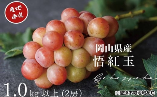 yRʖszԂǂ g Sr[ 2[ v1.0kgȏ Yn ̂ Ԃǂ  R Kawahara Green Farm2025N