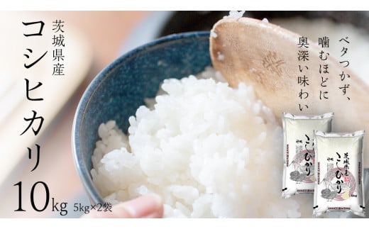 【茨城県つくばみらい市】【 新米 】 令和7年産 茨城 こしひかり 10kg( 5kg × 2本 ) 精米 茨城県 国産 お米 米 コメ 白米 ライス ご飯 おいしい コシヒカリ ごはん 新生活 プレゼント 新生活応