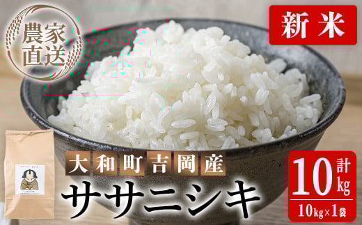 y{錧azyߘa7NY VāzĔ_ƒITTjVL 10kg    R   ͂ ɂ { ɂ V ߘa7NY ٓ yĔ_Ƃ낭݃t@[z