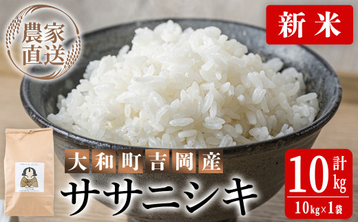 令和6年産 新米＞お米農家直送！ササニシキ 10kg お米 おこめ 米 コメ 白米 ご飯 ごはん おにぎり 宮城米 ささにしき 新米 令和6年産  お弁当 【お米農家ろくすみファーム】 ta291 - 宮城県大和町｜ふるさとチョイス - ふるさと納税サイト