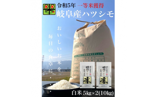 岐阜県養老町産 令和6年産 ハツシモSL 一等米 白米 5kg×2(10kg