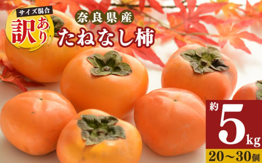 たねなし柿 訳あり 約5kg 20個～30個 | フルーツ くだもの 果物 柿 かき カキ たねなし柿 奈良県 五條市 -  奈良県五條市｜ふるさとチョイス - ふるさと納税サイト