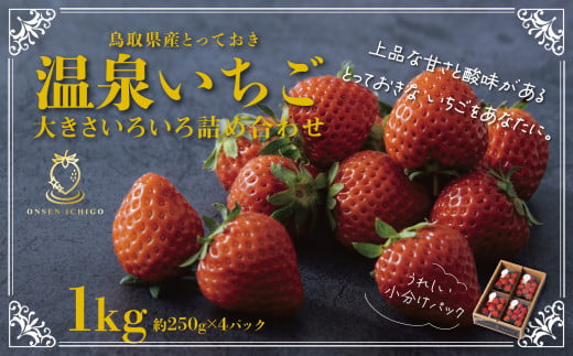 1173 鳥取県産とっておき「温泉いちご」大きさいろいろ詰め合わせ 1キロ - 鳥取県鳥取市｜ふるさとチョイス - ふるさと納税サイト