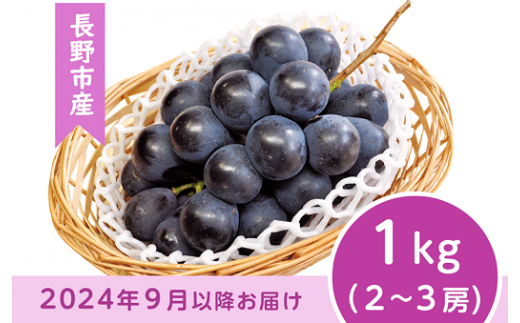 J0500 長野市産 ナガノパープル1kg【2024年9月以降出荷分】 - 長野県長野市｜ふるさとチョイス - ふるさと納税サイト