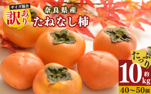 令和7年発送 先行予約】 訳あり たねなし柿 約10kg （ 40～50個 ) 2024年 大人気 | 種無し たねなし 柿 フルーツ 果物 くだもの カキ  かき 農家直送 家庭用 フードロス 秋の味覚 旬 大小混合 奈良県 五條市 名産地 - 奈良県五條市｜ふるさとチョイス - ふるさと納税サイト