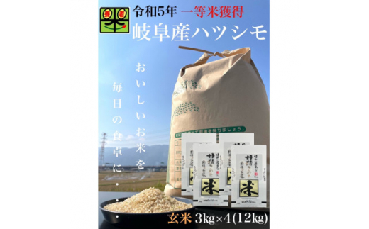 岐阜県養老町産 令和5年産 ハツシモSL 一等米 玄米 3kg×4(12kg)【1499375】 - 岐阜県養老町｜ふるさとチョイス - ふるさと納税 サイト