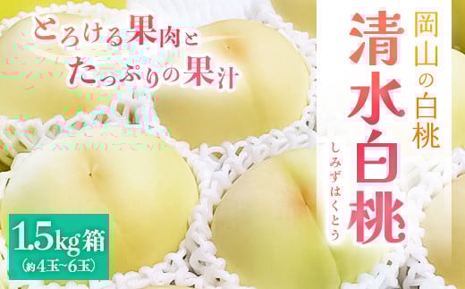 yRÎRsz2026Ns\2026N7{蔭\ER̔E(1.5kg)_     Â  ʕ  t[c fU[g Y Yn R 