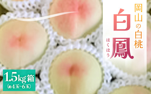 yRÎRsz2026Ns\2026N7{蔭\ER̔EP(1.5kg)y1578640z