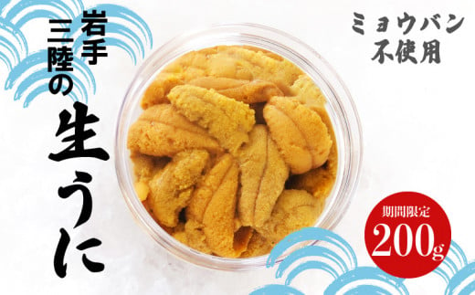 期間限定】 生うに 200g ミョウバン不使用 冷蔵 うに 三陸産 雲丹 ムラサキウニ 魚介 海産物 海の幸 うに丼 刺身 朝どれ 海産物 うに丼  朝獲れ - 岩手県大船渡市｜ふるさとチョイス - ふるさと納税サイト