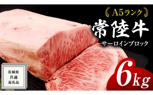 y錧vsz헤 A5  T[C ubN 6kg ( 錧ʕԗi ) јa Y Ɩp  ubN    A5N uh  Ђ uha Xe[Lp