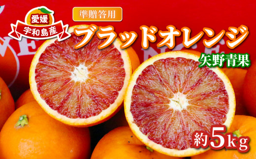 準 贈答用 ブラッドオレンジ 5kg 矢野青果 オレンジ みかん 柑橘
