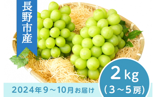 J0499 長野市産 シャインマスカット2kg【2024年9月以降出荷分】フルーツ ぶどう 葡萄 ブドウ 果物 人気 種なし 新鮮 期間限定 令和6年  2024年発送 おすすめ 産地 お届け 長野市 長野県 - 長野県長野市｜ふるさとチョイス - ふるさと納税サイト