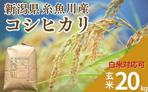 新潟県産コシヒカリ 玄米 20kg（精米サービス可能） 米・食味鑑定士 