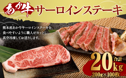 yF{v钬zF{Y  T[CXe[L 20kg i200g×100j