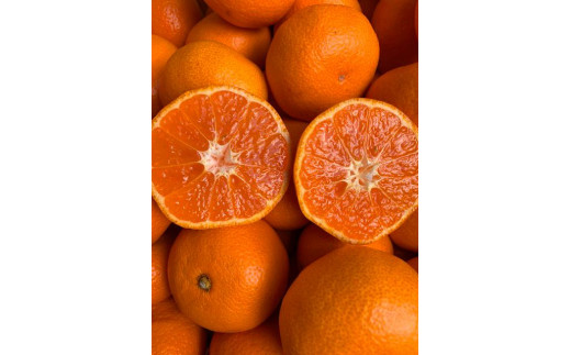 ya̎RLc쒬zz~{ On݂iɂイj 5kg  Gi 2S`Lmnnm}V_n