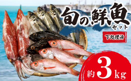 魚 キジハタの人気商品・通販・価格比較 - 価格.com