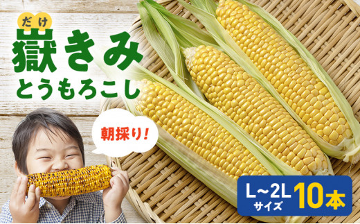 8月より発送】 朝採り 嶽きみ(だけきみ) 10本 フルーツのような 