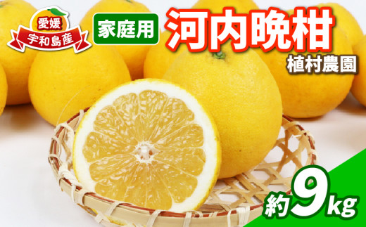 河内晩柑 家庭用 9kg 植村農園 晩柑 かわちばんかん 和製 