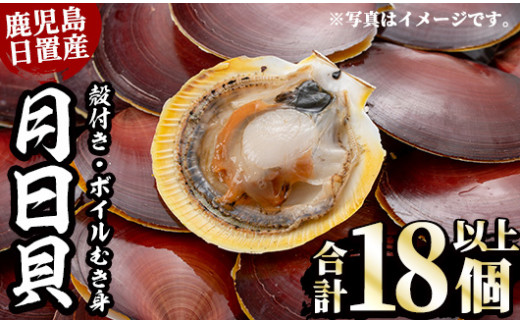 No.446 《期間・数量限定！》江口浜の月日貝セット！殻付き(6枚入×1P