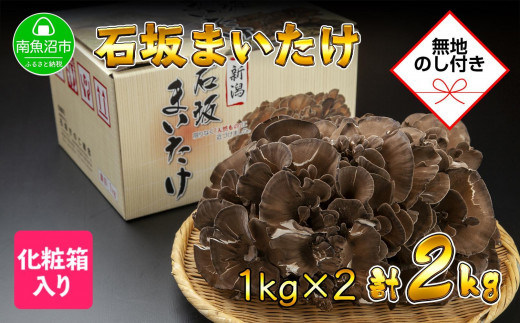 yV싛szyn̂z V 싛Y I Y ΍   ܂ Yn 1kg ×2 v2kg 蕨 Mtg  Ε ΍₫̂