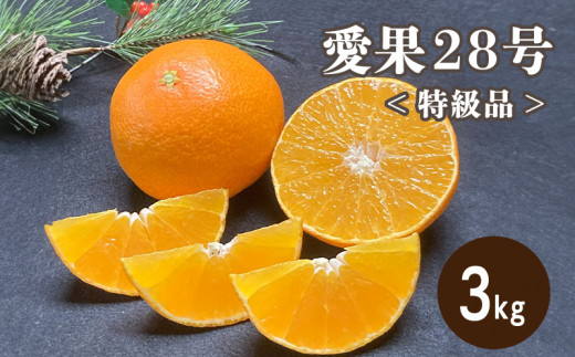 特級品 愛果28号 (紅まどんな と同品種) 3kg 【2025年12月より発送