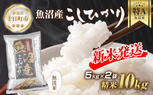 令和6年産 新米予約】 無洗米 魚沼産 コシヒカリ 5kg × 2袋 計10kg 新米 農家のこだわり 新潟県 十日町市 お米 こめ 白米 コメ 食品  人気 おすすめ 送料無料 - 新潟県十日町市｜ふるさとチョイス - ふるさと納税サイト