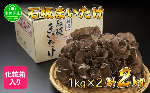 新潟県 南魚沼産 厳選 国産 石坂 高級 舞茸 まいたけ 産地直送 1kg ×2箱 計2kg 石坂きのこ - 新潟県南魚沼市｜ふるさとチョイス -  ふるさと納税サイト