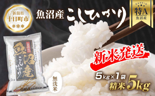 令和6年産 新米予約】 無洗米 魚沼産 コシヒカリ 5kg 新米 農家のこだわり 新潟県 十日町市 お米 こめ 白米 コメ 食品 人気 おすすめ  送料無料 - 新潟県十日町市｜ふるさとチョイス - ふるさと納税サイト