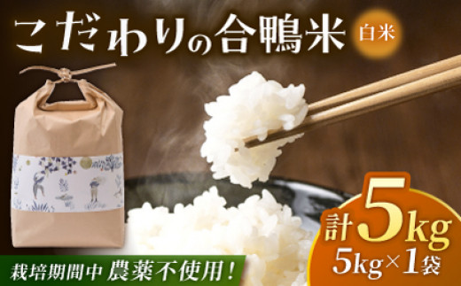 yF{Rsz 5kg yyz [ZAR026]