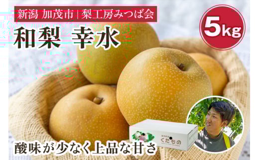 yVΎszy2026Ns\zVY a K 5kgi12`18ʁjs8{ȍ~t ʕ t[cMtg H̖o Ύs H[݂Ή