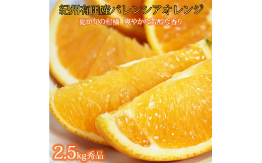 ya̎RߒqYzGi 󏭂ȍYoVAIW 2.5kgm2026N6{`2026N7{ɏnmUT75n