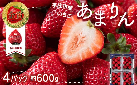 TVで紹介され話題のいちご！＜埼玉県 本庄市産 ＞ 久米原農園 あまりん