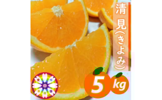 発送月固定定期便>愛咲果樹園「愛媛の柑橘定期便」(12月と2月 発送月固定定期便>愛咲果樹園「愛媛の柑橘定期便」(12月と2月