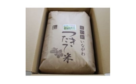 yɌ쒬z쒬̂āERVqJ()9kgy1497780z