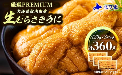 厳選PREMIUM＞美味しいウニは昆布の名産地にあり!生むらさきうに 120g×3(360g)【1501868】 - 北海道稚内市｜ふるさとチョイス  - ふるさと納税サイト